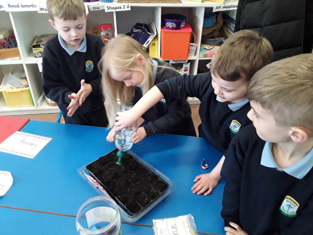 Senior infants are busy planting their flowers and vegetables this Spring 